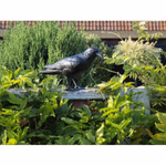 LIFETIME GARDEN Galambriasztó Holló, műanyag 42x12x23cm  thumbnail 3