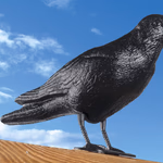 LIFETIME GARDEN Galambriasztó Holló, műanyag 42x12x23cm  thumbnail 1