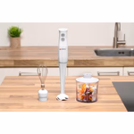 ALPINA Botmixer szett 400W, 2 sebesség, 500ml thumbnail 1