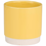 ARTICASA Kaspó 7cm 4 színben, 12db/display thumbnail 3