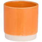 ARTICASA Kaspó 7cm 4 színben, 12db/display thumbnail 2