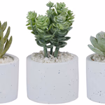 ARTICASA Művirág vázában 3 féle 6,5x6,5x5cm - 