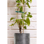 BLACK+DECKER Oldható növénykötöző szett 50db 12x2x24cm, zöld thumbnail 4