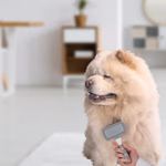 PET TREATMENT Kisállat kefe 2 az 1-ben 180 x 45 x 103 mm thumbnail 3