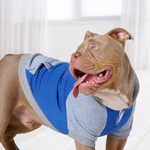 PET COMFORT Kutya pulóver M, színes 2 féle thumbnail 1