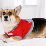 PET COMFORT Kutya pulóver S, színes 2 féle thumbnail 1