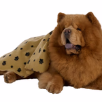 PET COMFORT Kisállat takaró 70x70cm, 160gsm thumbnail 5