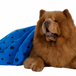 PET COMFORT Kisállat takaró 70x70cm, 160gsm thumbnail 3