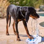 PET TREATMENT Kisállat ön-itató, pedálos, slagra kötendő thumbnail 2