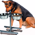 PET TREATMENT Állványos kutya-etető tál, állítható magasság, két edénnyel, fém thumbnail 3