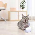 PET TREATMENT Gerinckimélő etetőtál cicáknak 350ml thumbnail 3