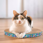 PET TOYS Macskajáték kaparó, hal forma, macskagyökérrel 49x23x3cm 2 színben thumbnail 2