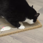 PET TOYS Macska játék kaparó karton, 38x12cm  thumbnail 3