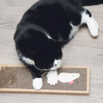 PET TOYS Macska játék kaparó karton, 38x12cm  thumbnail 2