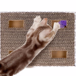 PET TOYS Macskajáték kaparókarton és játék 2 golyóval  thumbnail 2