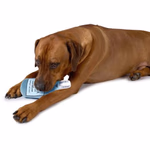 PET TOYS Kutyajáték - üveg forma 25cm 4 változatban thumbnail 2