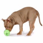 PET TOYS Etetőlabda kutya, sípoló 
átmérő 9 cm thumbnail 5