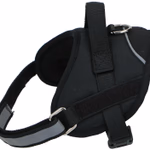 PET TREATMENT Kutya hám (hát-ra) 50-62 cm, Medium thumbnail 1