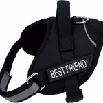 PET TREATMENT Kutya hám (hát-ra) 42-53 cm, Small thumbnail 3