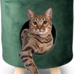 PET COMFORT Cicaház és zsámoly 2az1-ben, henger formájú, 33x33x44cm thumbnail 3