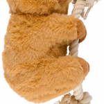 PET TOYS Kutyajáték kapibara 24x15x9cm thumbnail 1