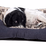 PET COMFORT Extra kénylemes kisállat fekhely M méret (60x48x18cm), 4 verzióban  thumbnail 2