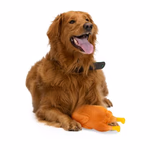 PET TOYS Kutyajáték grillcsirke 17x9x7cm  thumbnail 3