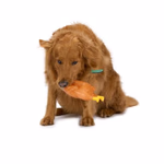 PET TOYS Kutyajáték grillcsirke 17x9x7cm  thumbnail 4