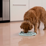 PET TOYS Kutya fekhely 40cm  thumbnail 1