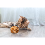 PET TOYS Macskajáték labda, 6cm, puha, 4 változatban  thumbnail 2