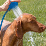 PET TREATMENT Kutyafürdető szett 5 részes  thumbnail 3
