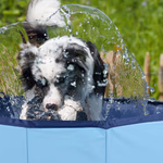 PET COMFORT Kutyamedence M-es méret, összehajtható, PVC 120x30cm  thumbnail 2