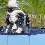 PET COMFORT Kutyamedence L-es méret, összehajtható, PVC 160x30cm  thumbnail 2