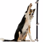 PET TOYS Kutya gyakorló öv csengővel thumbnail 4