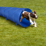 PET TOYS Kutya gyakorló alagút - Összecsukható - Könnyű - Hordtáskával és talajcsapokkal - Ø48cm x 3méter thumbnail 1