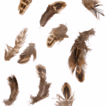 ARTICASA Toll dekor 15x0,1x16cm; 2 féle thumbnail 4