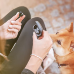 GoGEN TWS BRO evo 2 fejhallgató - fekete thumbnail 4