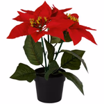 ARTICASA Xmas flower 2as Ø24xh24cm 74gr PES HT PP -  thumbnail 2