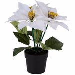 ARTICASA Xmas flower 2as Ø24xh24cm 74gr PES HT PP -  thumbnail 3