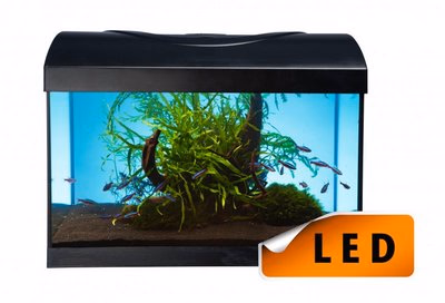 Diversa akvárium szett 60 Startup Led Expert - Image 1 of 3