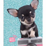 NAPLÓ, B6, 80 OLDAL, 'STUDIO PETS '