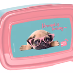UZSONNÁS DOBOZ, 18x12x6, POLYPROPYLENE BPA FREE, 'STUDIO PETS '
