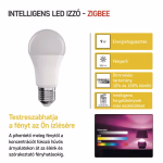 GoSmart LED izzó - A60-körte - E27 - 9W (60W) - 806 lm - RGB - dimmelhető - Zigbee thumbnail 5