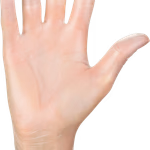 MERCATOR® Vinil, latexmentes, púdermentes áttetsző védőkesztyű  professzionális felhasználásra. 100 db, XL méret thumbnail 2